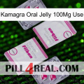 Kamagra Oral Jelly 100Mg Use 33